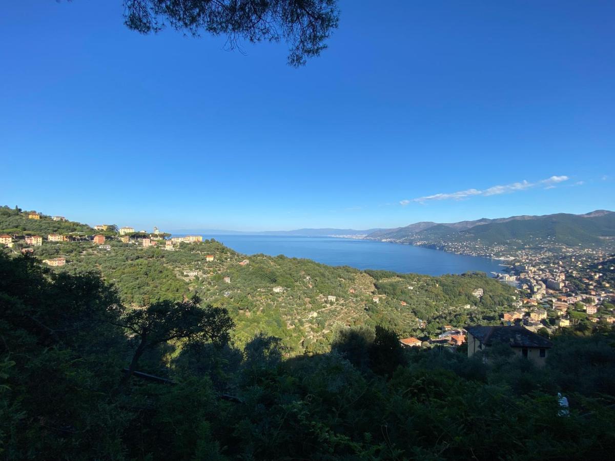Appartamento Victoria Camogli Ngoại thất bức ảnh